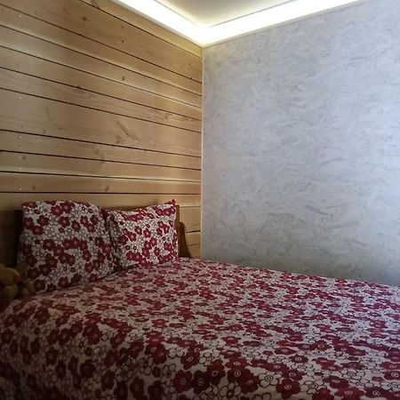 Le Woody Appartement Saint-Étienne-de-Tinée Buitenkant foto